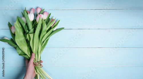 still life spring gentle white and pink tulips