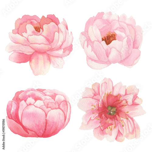 Set of flowers, leaves and branches Arrangements