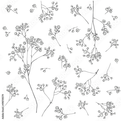   Gypsophila flower. Fragile and airy white flowers. Easy print in rustic style.   © soul_romance