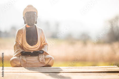 Buddha in Wohnzimmer  drau  en  Textfreiraum