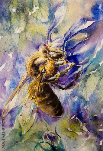 Close up of honey bee on lo...