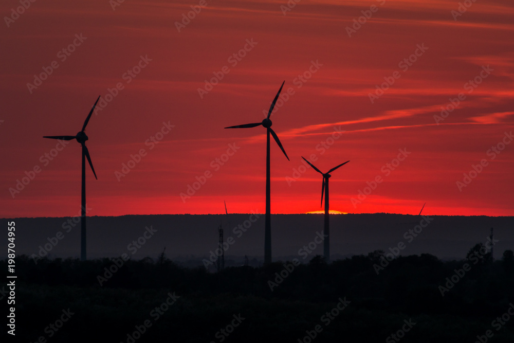 Obraz premium Wind farm of wind turbines