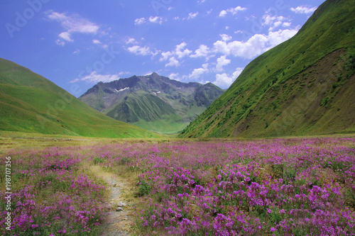 Colorful landscape in Georgia