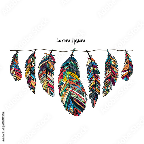 Feather collection for your design