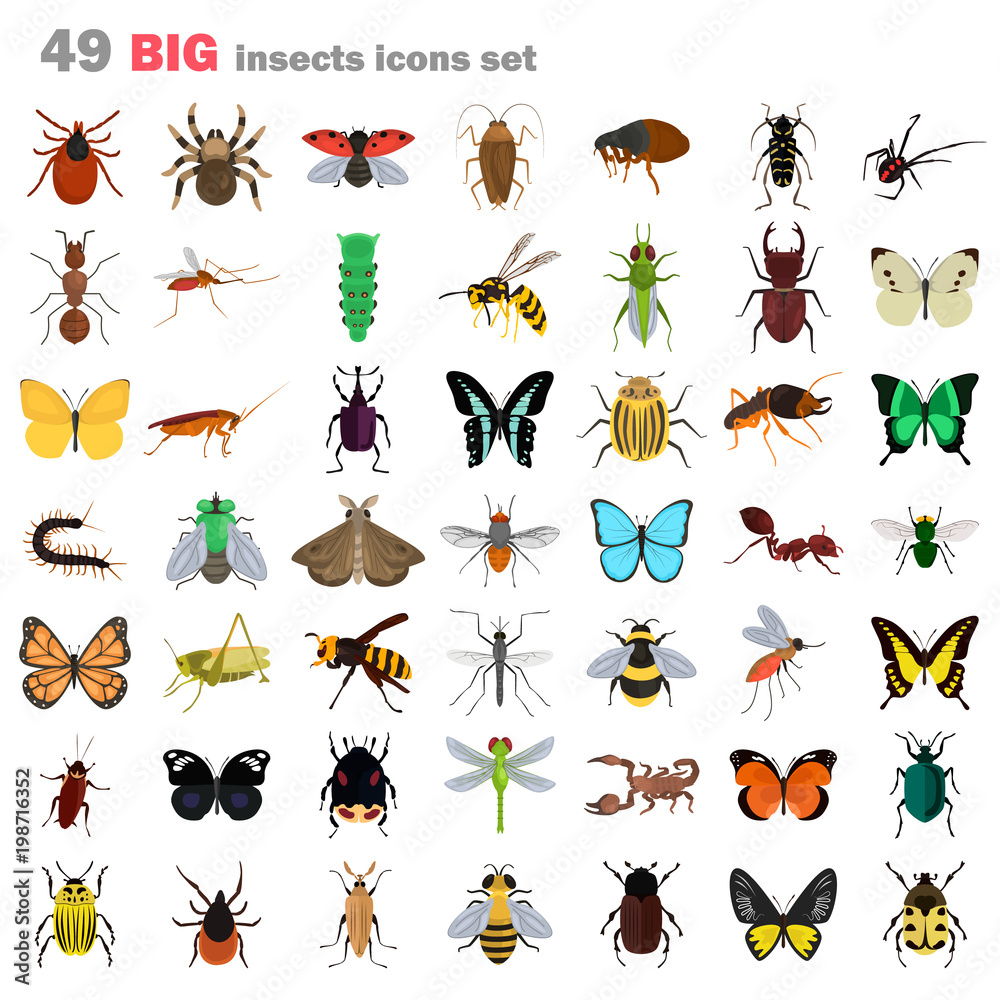 Big insects color flat icons set