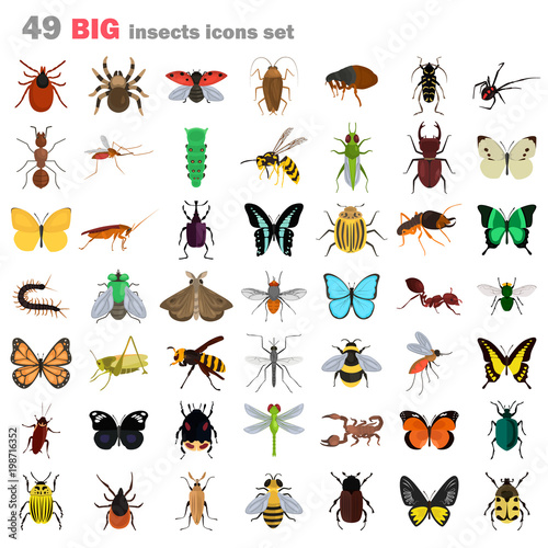 Big insects color flat icons set photo