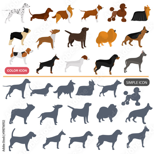 Color flat and simple dogs breeds icons set