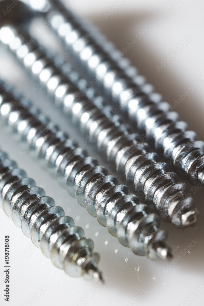 screws on white background screws on white background