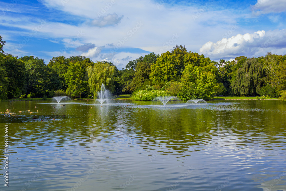 Obraz premium View of beautiful city park with pond, fountains, swimming ducks, green trees and lawns. Summer nature, blue sky. 