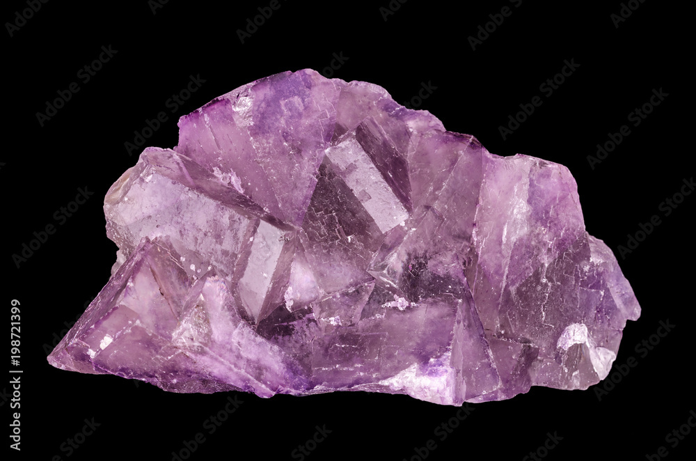 Fluorite crystal cluster. Fluorspar, a mineral form of calcium fluoride, CaF2. Belongs to halite minerals. Colorful purple cubic crystals. Macro photo, close up, front view, on white background.