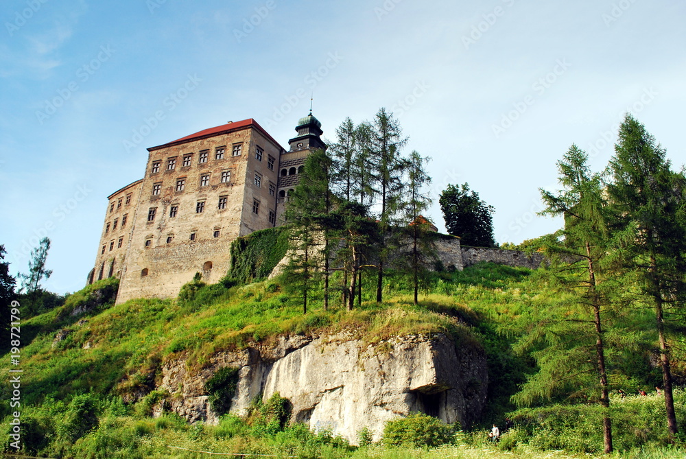 Fototapeta premium Castle