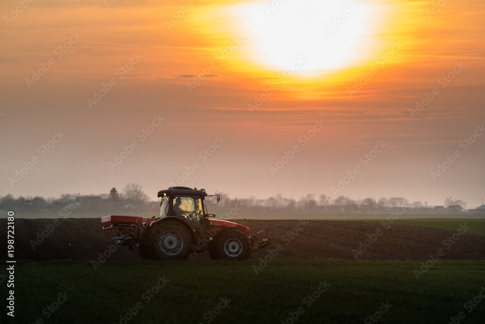 Obraz premium Farmer with tractor seeding - sowing crops at agricultural fields