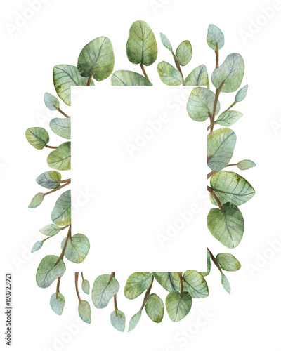 Watercolour green eucalyptus card on white background.