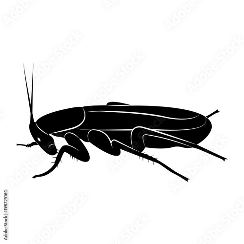 Vector image of silhouette of cockroach