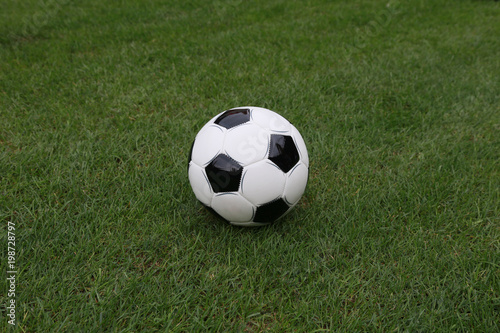 Closeup view soccer ball on green field