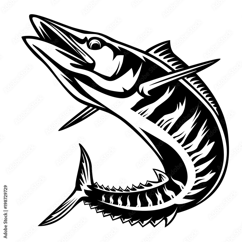Illustration of a wahoo , Acanthocybium solandri, a scombrid fish jumping up viewed from the side set on isolated white background done in retro style.