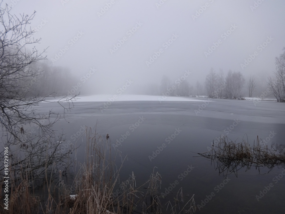 Winterzauber Winterzauber