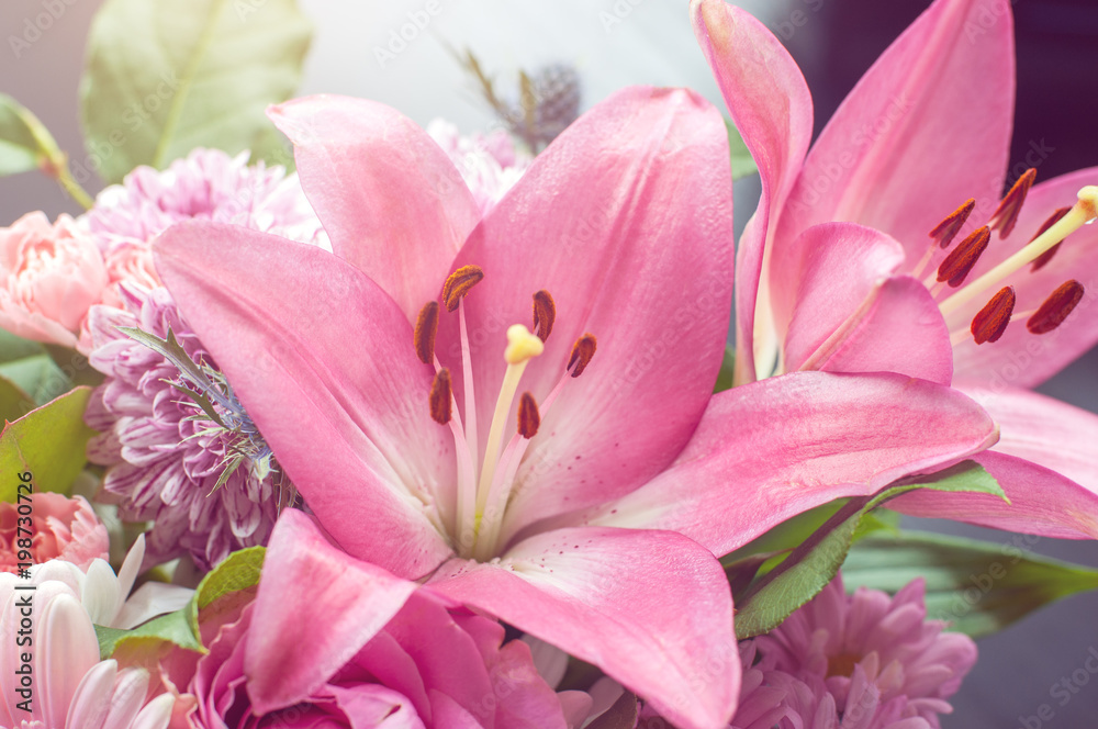 Closeup view of pink lilies illuminated by sun Closeup view of pink lilies illuminated by sun