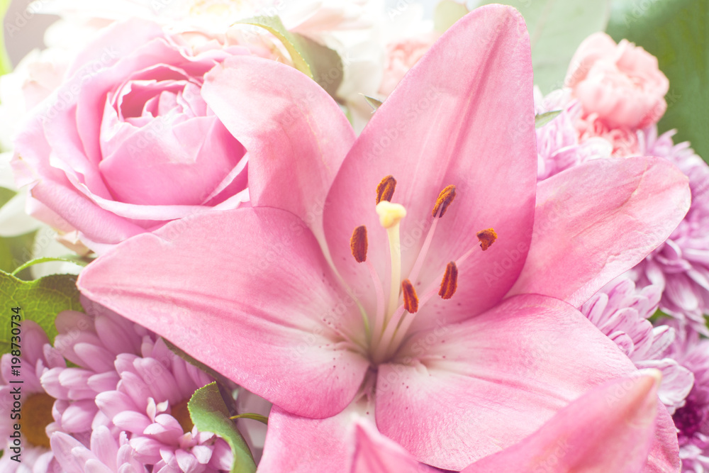 Closeup view of pink lily and rose flower illuminated by sun