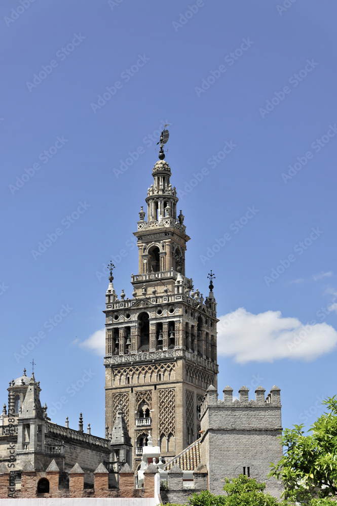 Glockenturm Giralda, Kathedrale von Sevilla, Kathedrale Santa Maria de la Sede, Giralda, Sevilla, Andalusien, Südspanien, Spanien, Europa