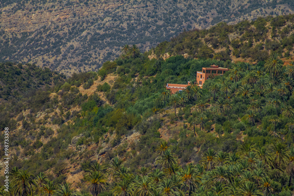 Scenic mountain valley with wild forests in Atlas Mountains, Morocco, Africa