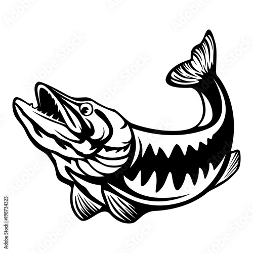 Vector illustration of jumping pike isolated. Vintage fishing emblem.
