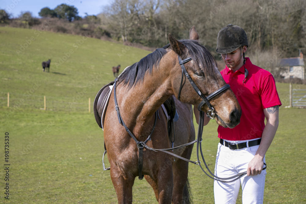 Rider on Horseback in field, wearing red polo shirt, white trousers, black boots with horses in the background Rider on Horseback in field, wearing red polo shirt, white trousers, black boots with horses in the background