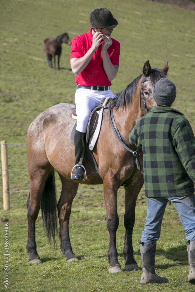 Fototapeta premium Rider on Horseback in field, wearing red polo shirt, white trousers, black boots with horses in the background
