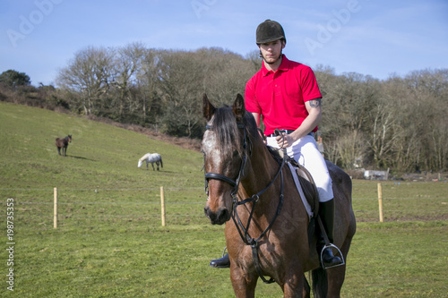 Rider on Horseback in field, wearing red polo shirt, white trousers, black boots with horses in the background