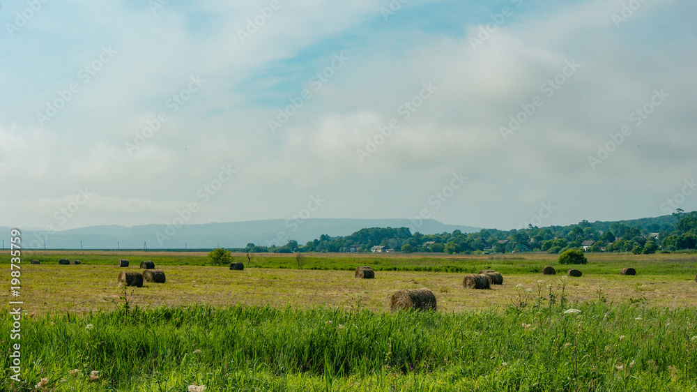 Field with haystacks rural landscape Field with haystacks rural landscape