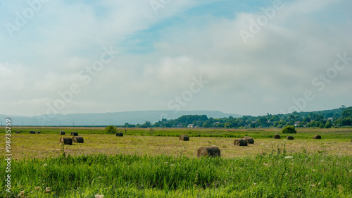 Field with haystacks rural landscape