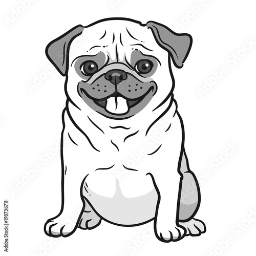 Pug dog black and white hand drawn cartoon portrait. Funny happy smiling pug  sitting and looking forward. Dogs  pets themed design element  icon  logo.