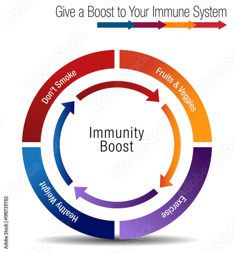 Boost and Stregthen Your Immune System Chart