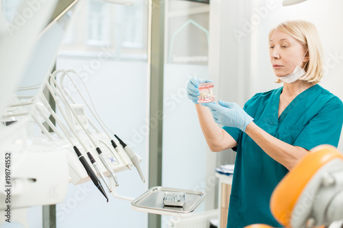 Professional dentist in gloves and uniform looking at false teeth in her hands while working
