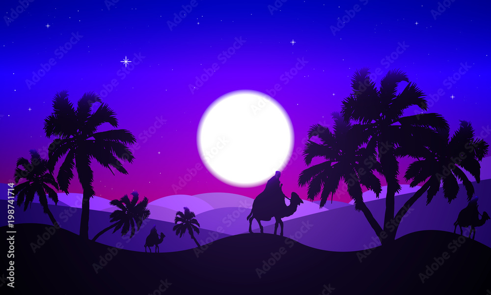 Landscape of the desert in the night