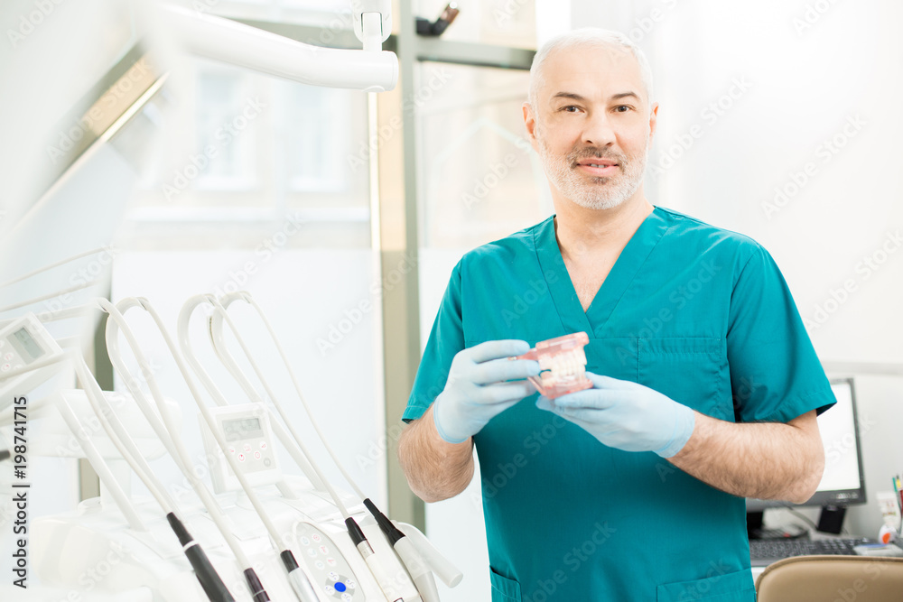 Professional dentist in uniform showing false teeth while working in modern dental clinics Professional dentist in uniform showing false teeth while working in modern dental clinics