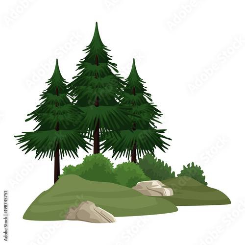 Canvas-taulu Trees and bushes vector illustration graphic design