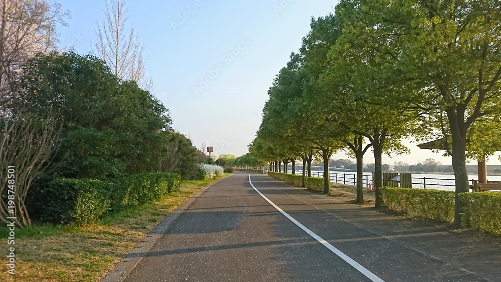 湖畔のサイクリングロード