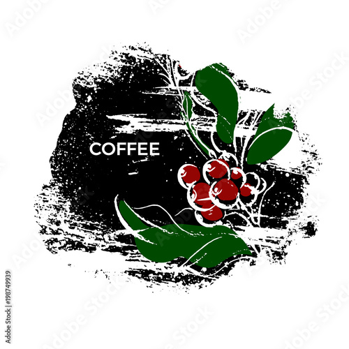 Vector sketch of coffee branch. Template