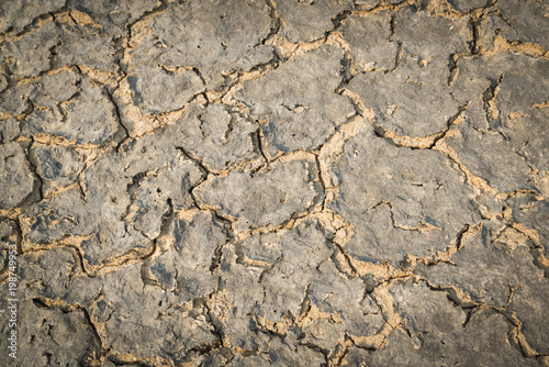 Crack soil on dry season Global worming effect.