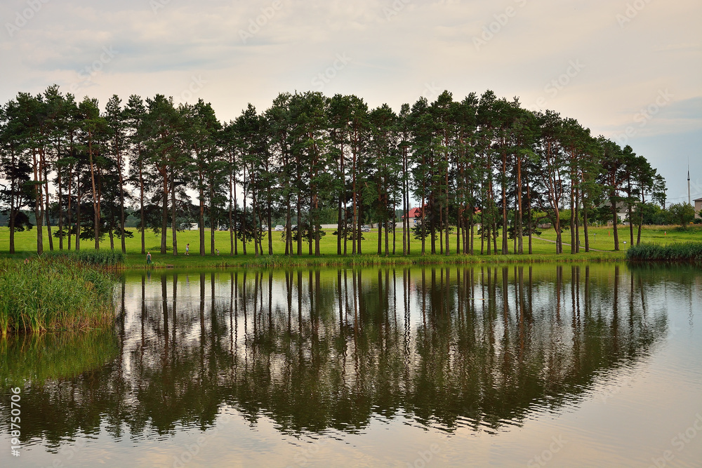 Obraz premium Reflections on a calm lake