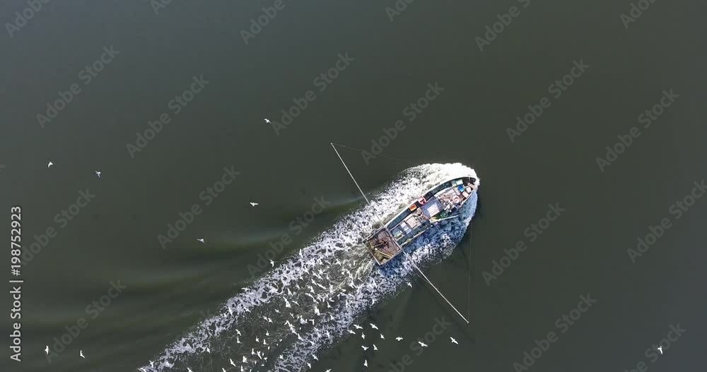 Top view of a small fishing boat with a motor in the middle of the river with a pack of hungry seagulls Top view of a small fishing boat with a motor in the middle of the river with a pack of hungry seagulls