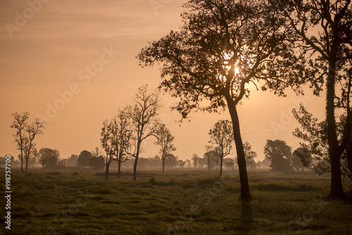 Wallpaper Mural THAILAND BURIRAM LANDSCAPE FIELD Torontodigital.ca