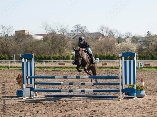 A girl caucasian horserider jumping over hurdle with her beautiful brown sport pony