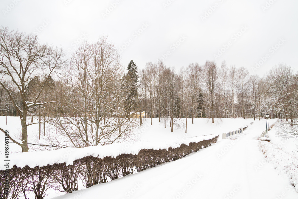 View of the winter Park in the white fluffy snow View of the winter Park in the white fluffy snow