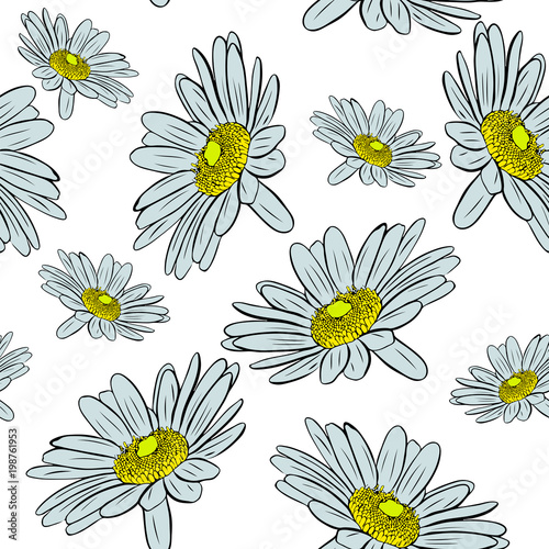blossoming chamomile buds, seamless pattern