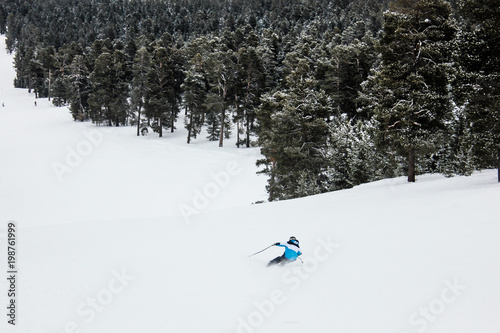Skiing in deep powder through the trees