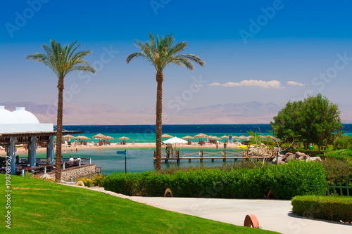 Egypt. Red sea day. Beach, sea, palms