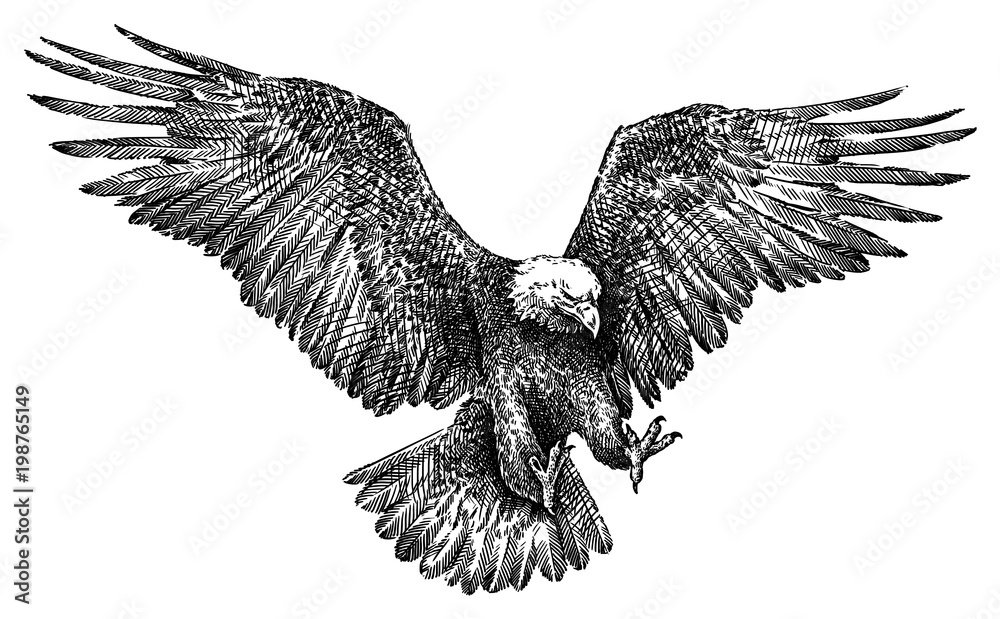 Black And White Engrave Isolated Eagle Illustration Stock Illustration Adobe Stock