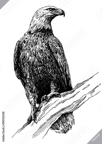 black and white engrave isolated eagle vector illustration